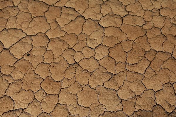 Réchauffement climatique :     
quels impacts sur les cultures agricoles ?