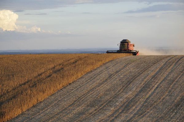 Avec 15 jours d’avance, la moisson 2022 se termine : une situation inédite en France