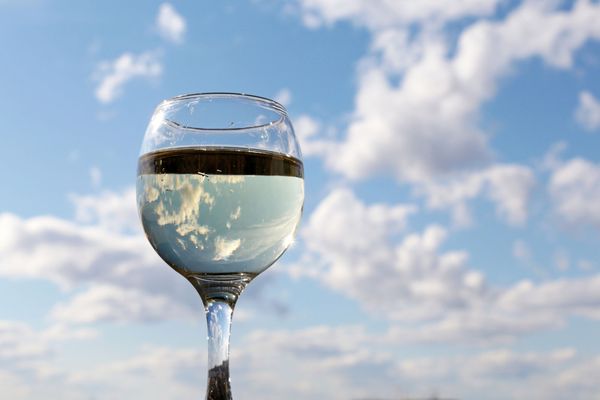 Les impacts de la météo sur la qualité du vin 2022