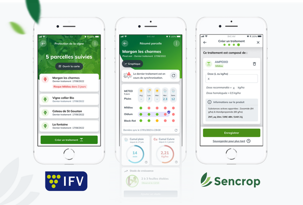 DeciTrait®: Sencrop intègre l’OAD de l’IFV dans son appli, pour la protection de la vigne