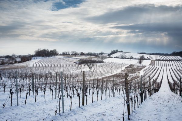L’hiver 2022-2023 a de nouveau été trop doux et trop sec en France