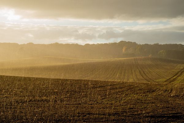 France : la pluie de retour, le risque de sécheresse écarté ?