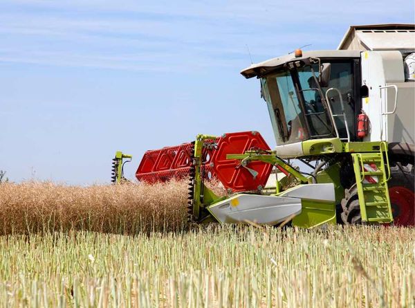 Moisson 2023 : l'impact de la météo sur les récoltes