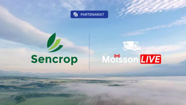 Moisson Live : les résultats de la moisson en direct