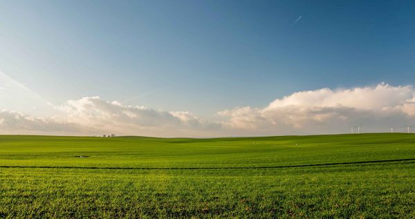 Printemps 2023 en France : encore de la douceur et parfois un manque de pluie