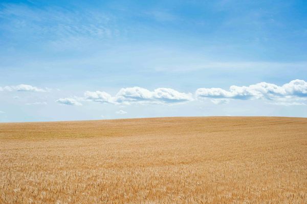 Été 2023 : l'un des plus chauds en France