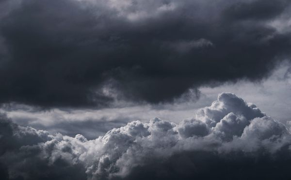 Hiver 2024 : comment vont nos nappes phréatiques ?