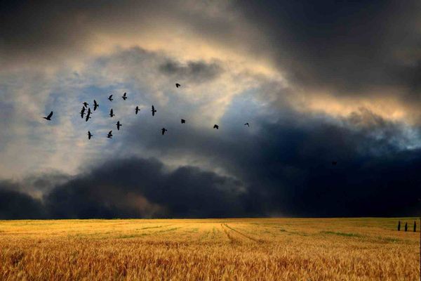 Dictons météo : peut-on vraiment y croire ?