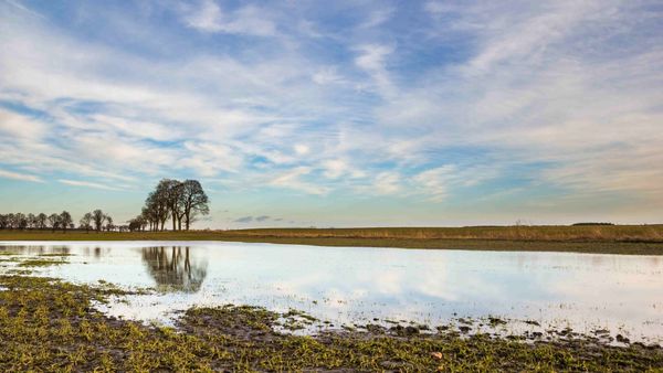 Printemps 2024 : l’un des plus pluvieux en France