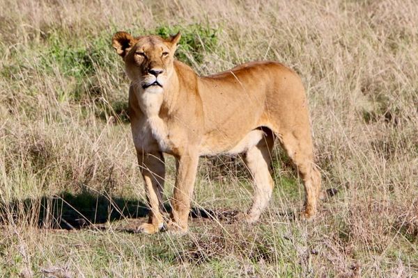 2026 Predictions Recap and 2025 Year in Review