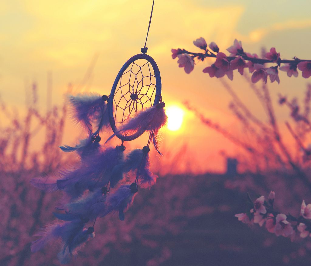 Grounding Our Dreams