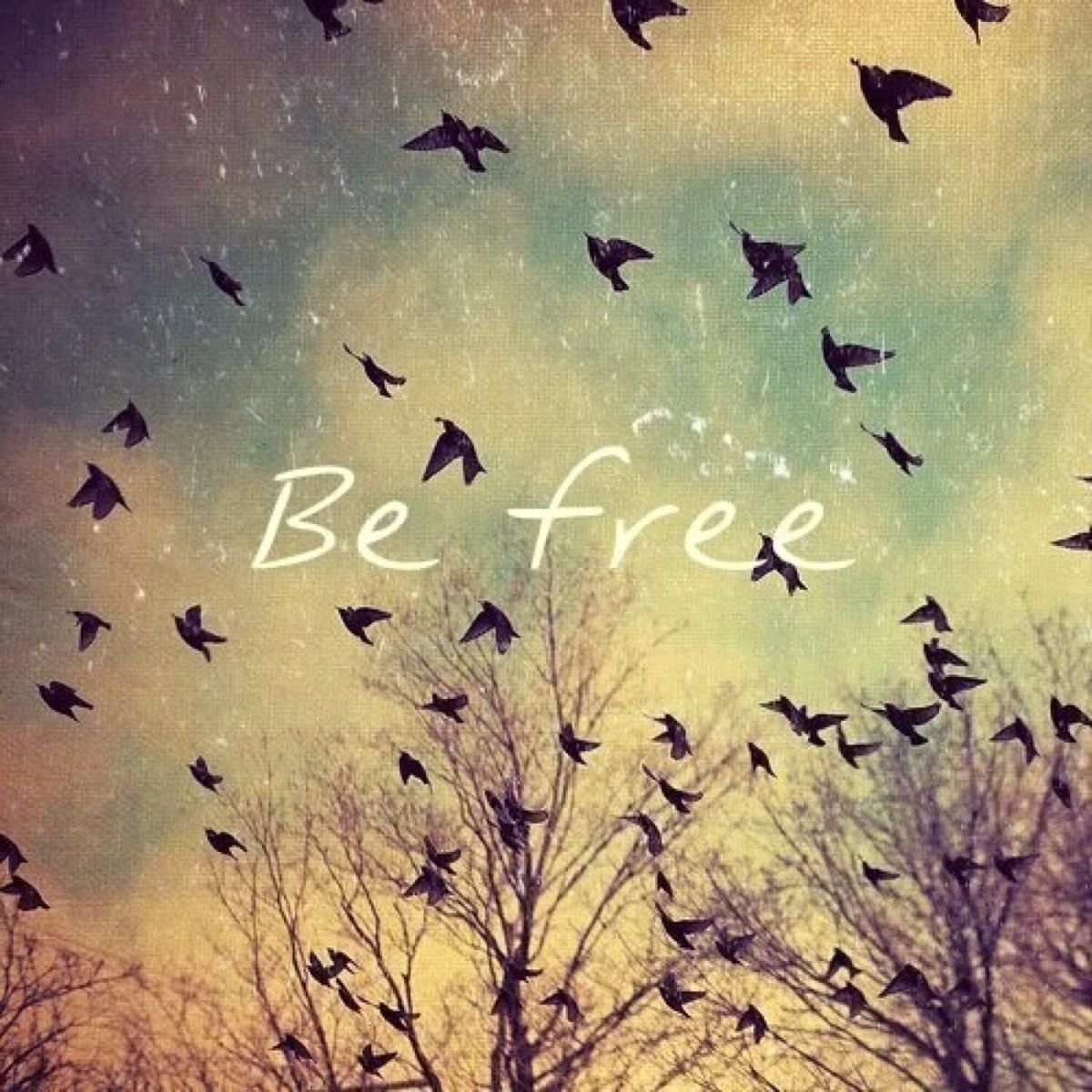 Freedom for All