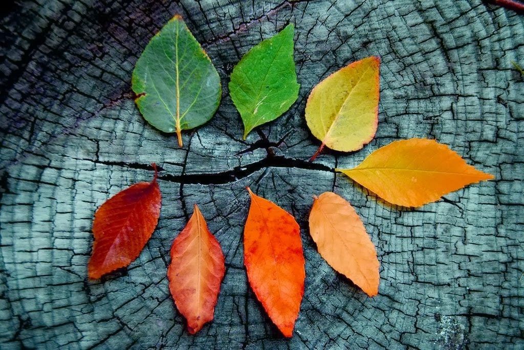 AUTUMNAL EQUINOX & Yoga Ritual