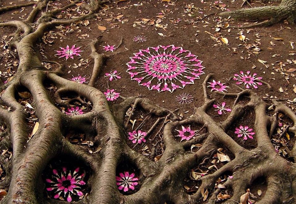 Taurus Full Moon - ROOTED in BEAUTY
