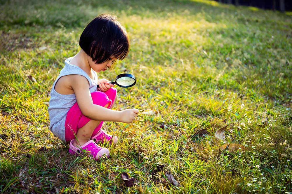 The Wisdom of Curiosity