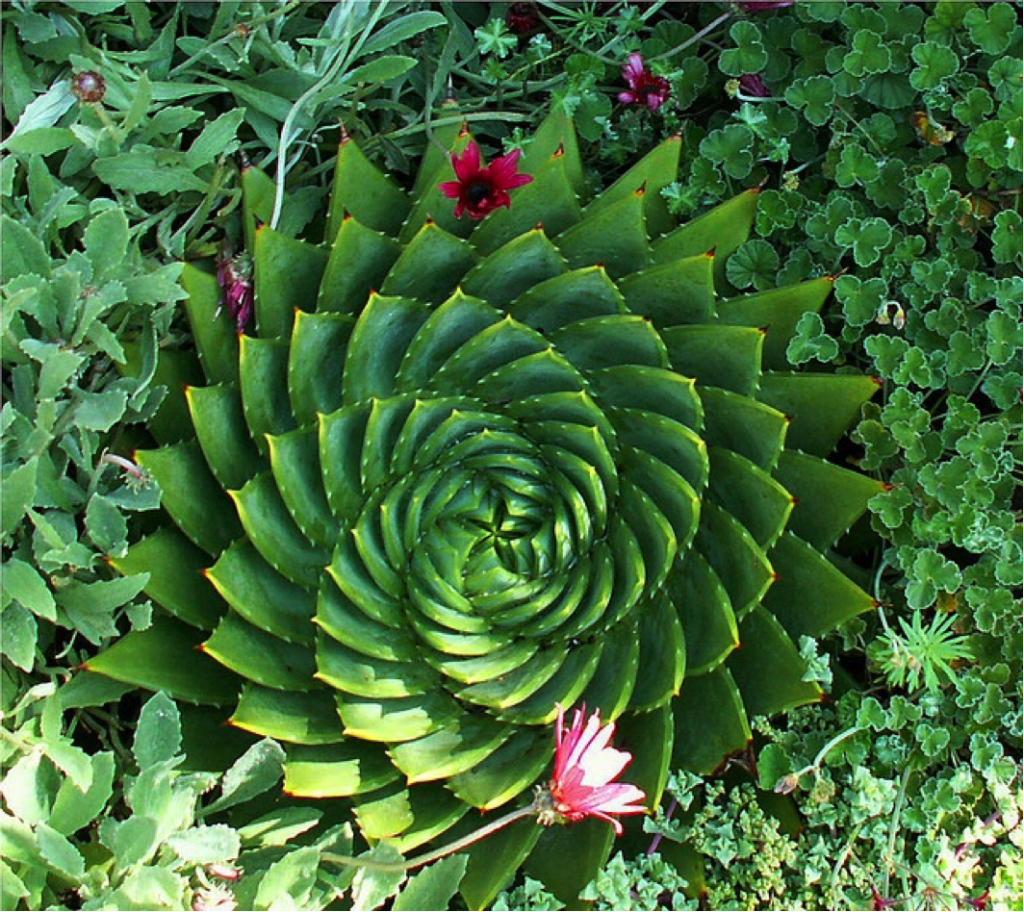 Spring Equinox & Sacred Geometry