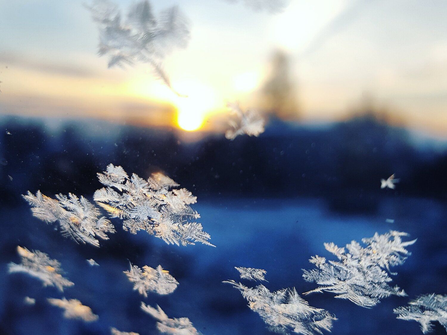 WINTER SOLSTICE - Deep Abode
