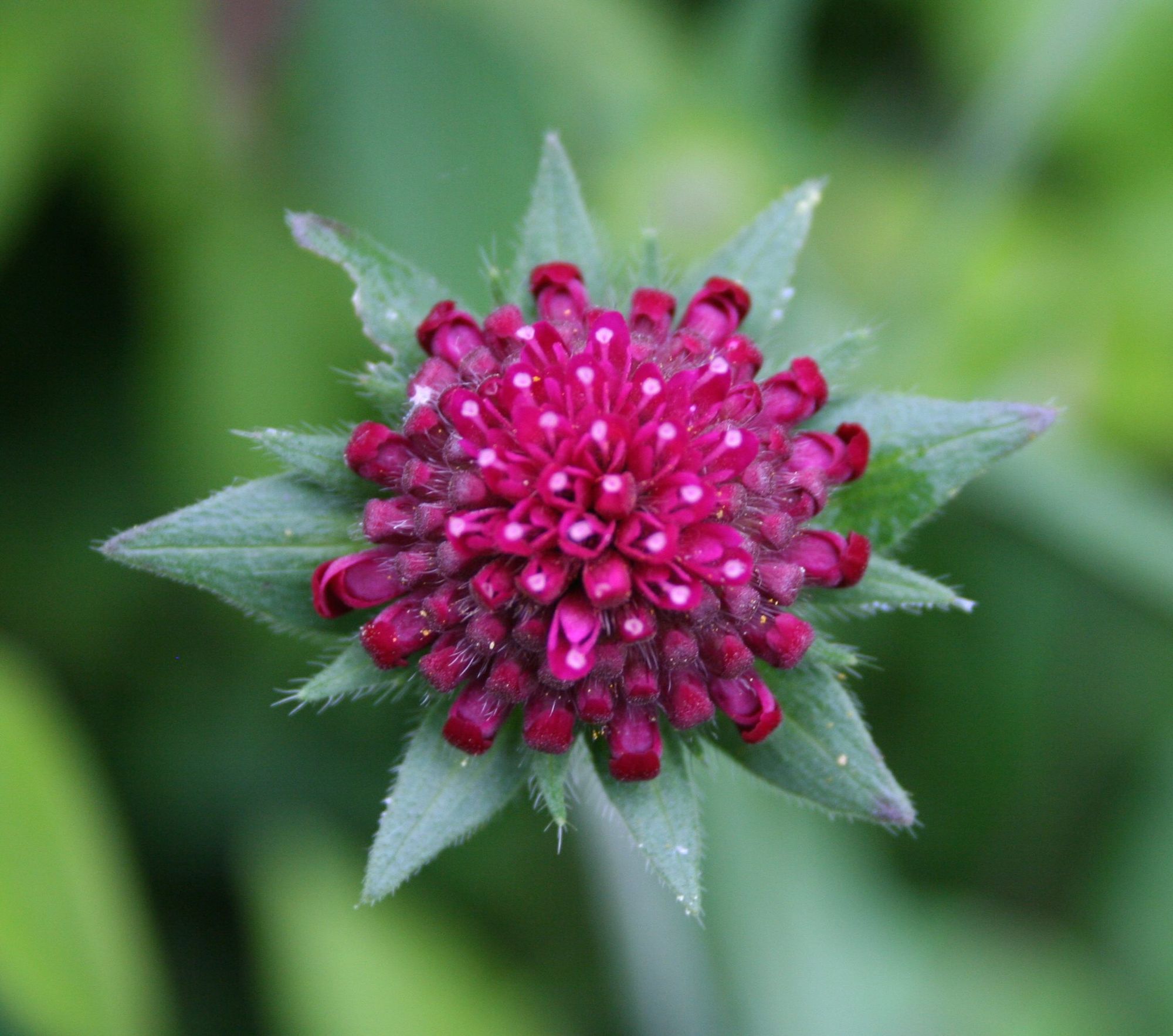 SPRING EQUINOX | Yoga & Sacred Geometry