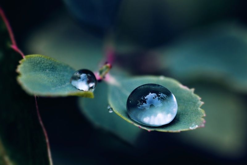poetic inspiration - THE BELOVED by Kahlil Gibran