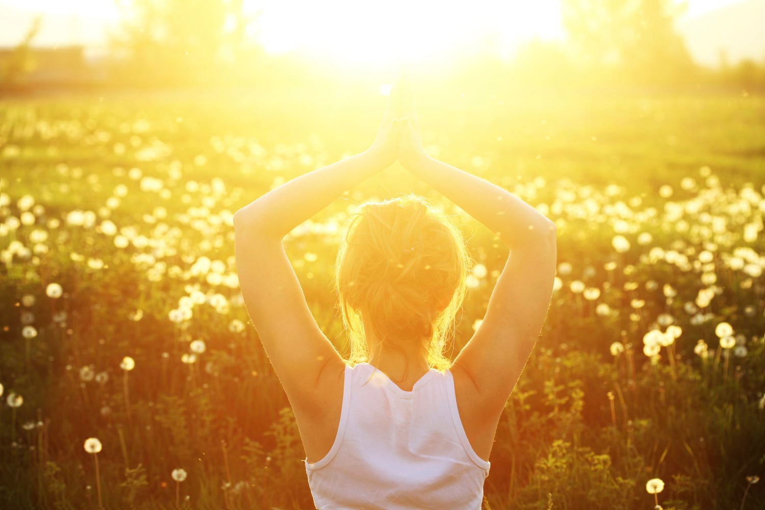 SUMMER SOLSTICE & Esoteric Yoga