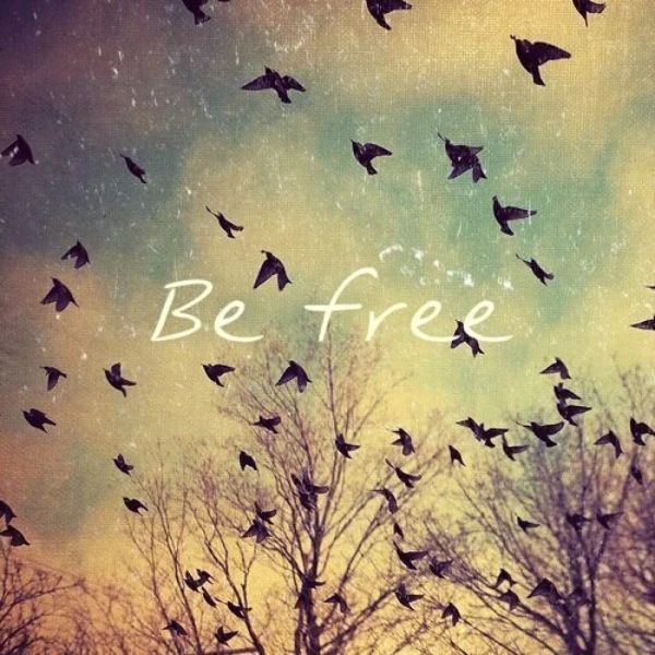 Freedom for All