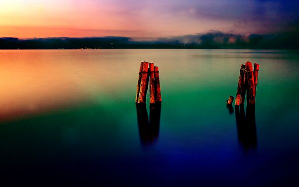 Wisdom of Clarity