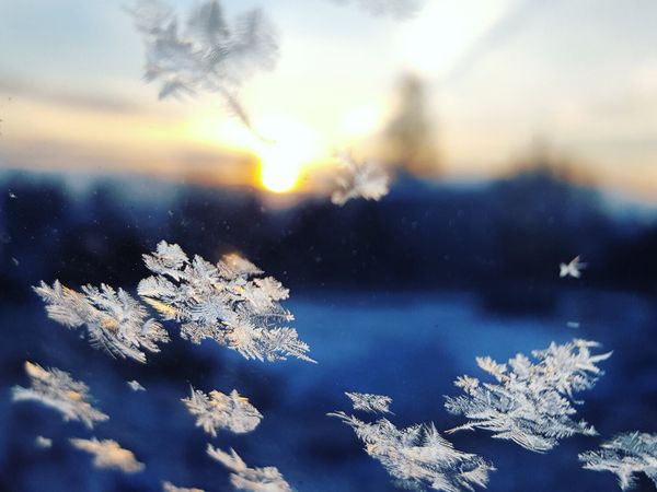WINTER SOLSTICE - Deep Abode