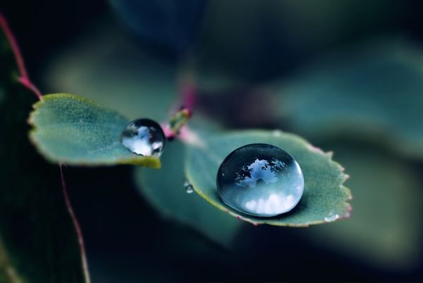 poetic inspiration - THE BELOVED by Kahlil Gibran
