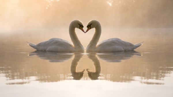 Sacred Mirror