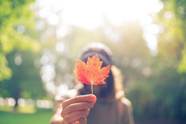 AUTUMNAL EQUINOX & Yoga Ritual