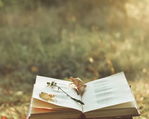 scorpio new moon & poetry