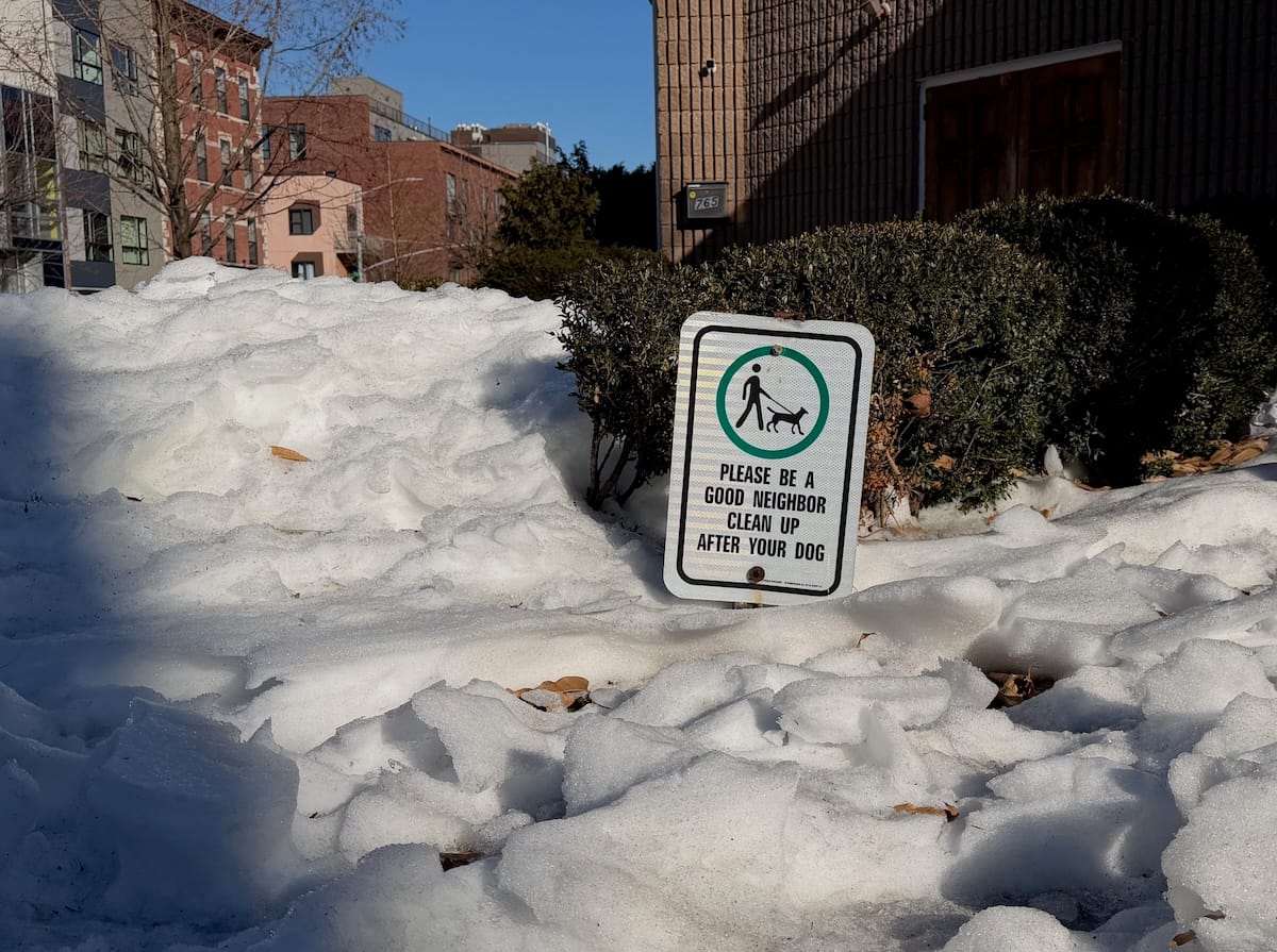 New York City Is Drowning in Dog Poop