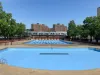 Exclusive: Adult Lap Swim Is Back and Much, Much Bigger This Year