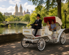 Hear This Guy Out: Horseless Horse Carriages
