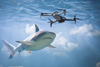 Welcome to the Shark Surveillance State. The Beaches Are Closed