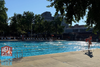 What's Not to Love About the First Week of Adult Lap Swim?