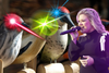 The Kelly Clarkson Mechanical Bird Beef: An Ethics Treatise