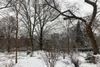 Snow in Tompkins Square Park in New York City.