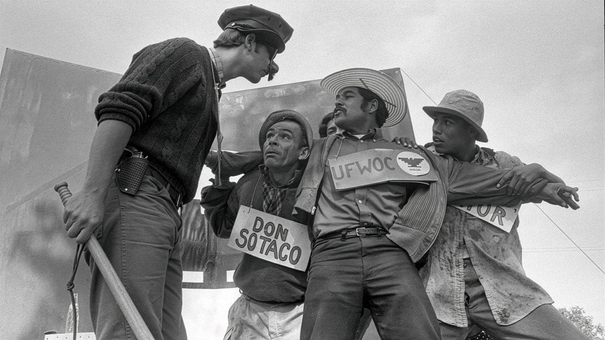 'American Pachuco' Is a Dream, Realized