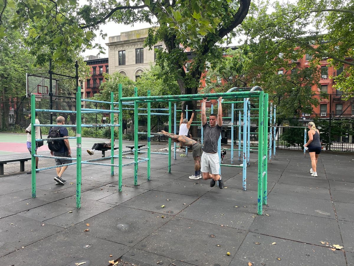 Chin Up, Tompkins Pull-Up Bar Enthusiasts