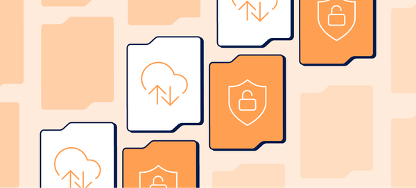 Why website backups are essential: Protecting your business from the unexpected