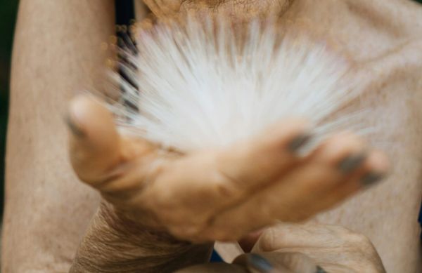 Industry Update, October 2025