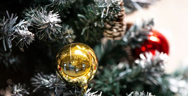 Industry Update, December 2023