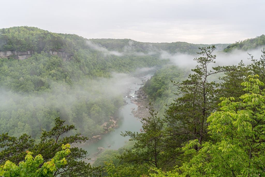 Connect Humanity and Microsoft to Invest in Appalachian Broadband