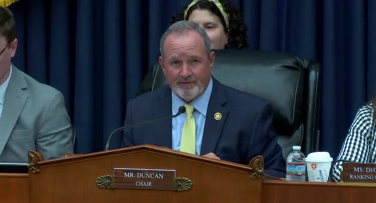 Lawmakers Look To Boost Electricity Grid Ahead of AI Surge