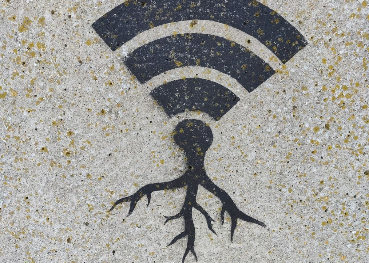 Push to Protect and Expand Wi-Fi Spectrum Intensifies as Usage Soars, Experts Say