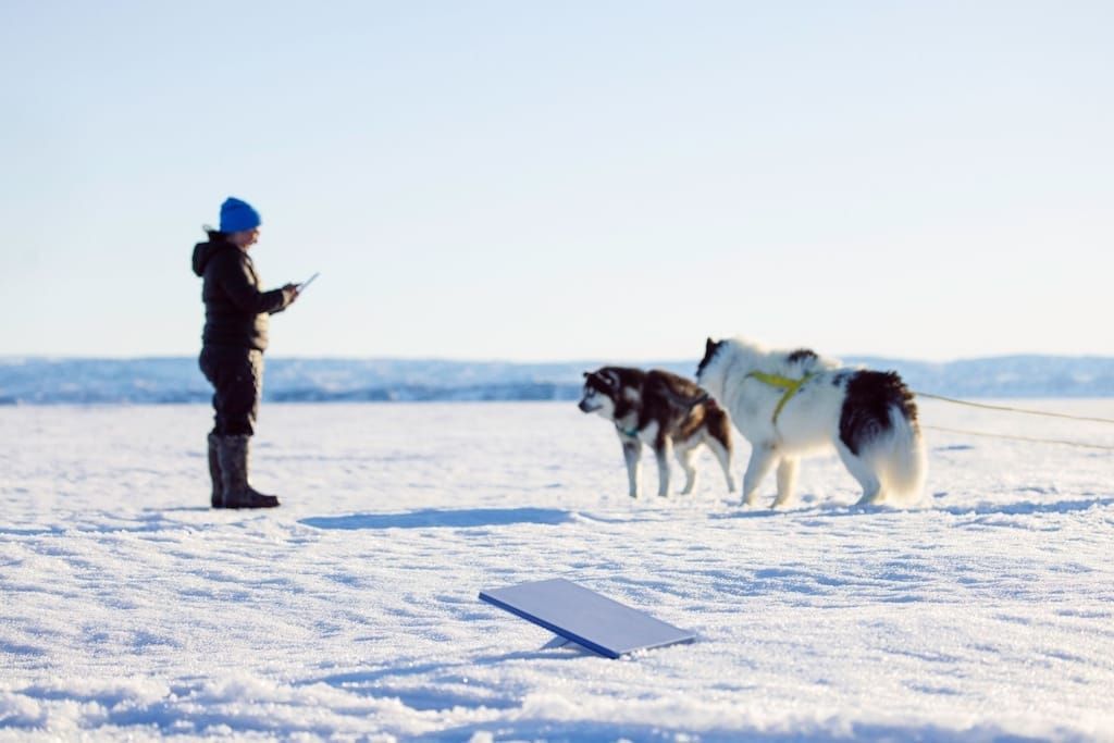 Starlink Expands Subscribers and Speeds