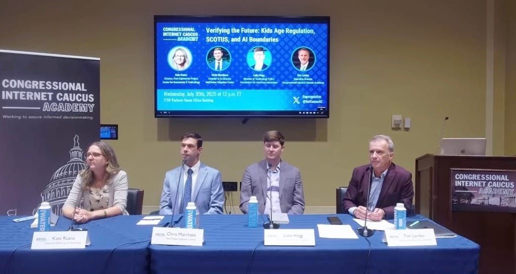 Experts Clash on Online Age Verification