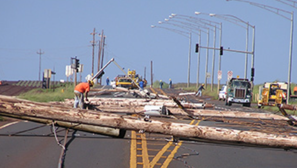 Maui Residents Sound Alarm Over Downed Cables