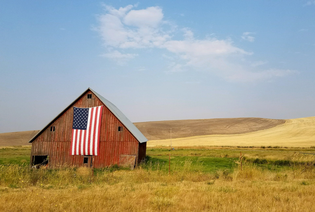 States Deemphasize Local and Rural Focus After BEAD Restructuring, Report Finds